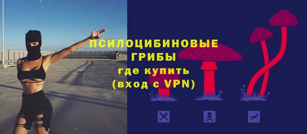 меф Кинешма