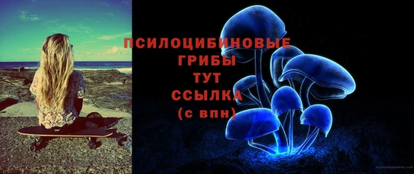 СК Киренск