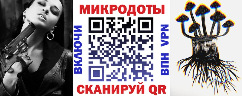 Купить где  Ефремов  Псилоцибиновые грибы Cubensis 
