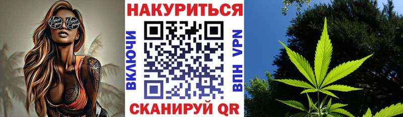 Купить где  Ефремов  Шишки марихуана OG Kush 